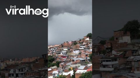 Ultra-Localized Rainfall || ViralHog