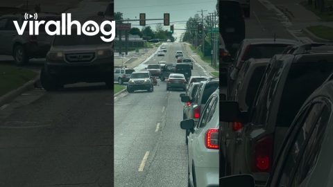 Posse Breaks Multiple Traffic Laws While Hauling Empty Trailer || ViralHog