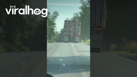 Lumber Truck Loses A Log || ViralHog