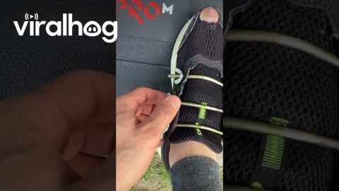 Wing Bolts Hold Shoe Together || ViralHog
