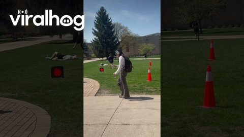 Man Falls While Wearing Drunk Simulation Goggles || ViralHog