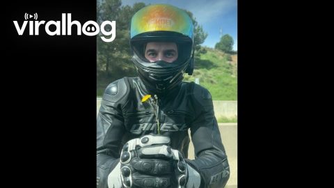 Motorcyclist Gives a Flower || ViralHog