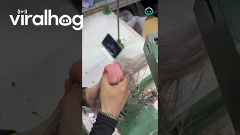 Watching A Show While Sewing || ViralHog