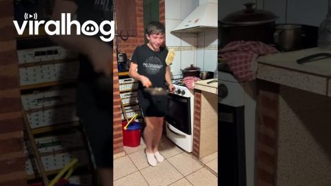 Pancake Seasoned With Subtle Notes of Sock || ViralHog