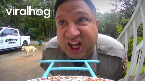 Husband Leaves Message For Wife On Bird Feeder Camera || ViralHog