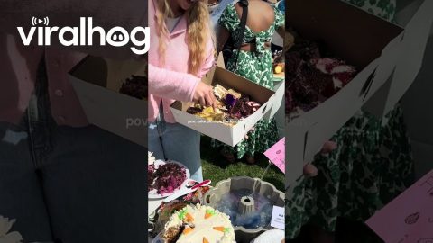 Everyone Brings Cakes to the Cake Picnic || ViralHog