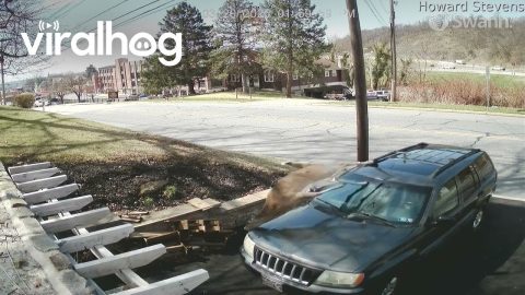 Deer Clears The Hedge But Not The Car || ViralHog