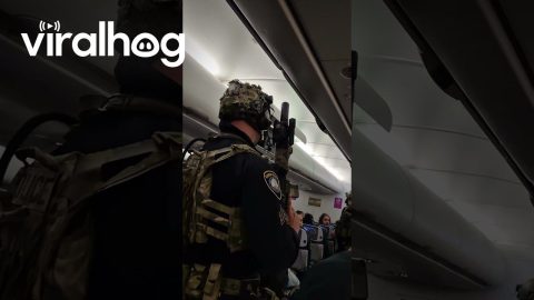 Men Arrested and Plane Evacuated After Alleged Bomb Threat || ViralHog