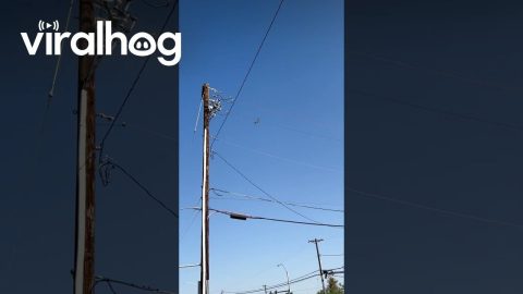 Las Vegas Airplane on Fire || ViralHog