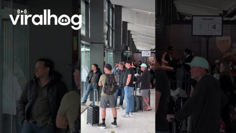 Dads Gather To Watch Airplane Tire Change || ViralHog