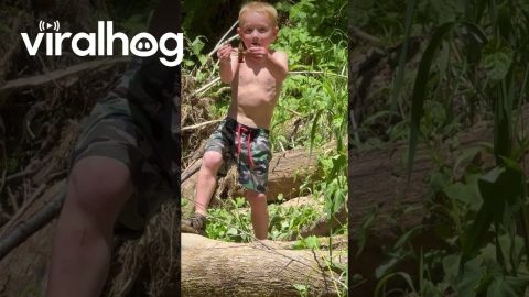 Little Crawdad Wrangler Gets Pinched || ViralHog