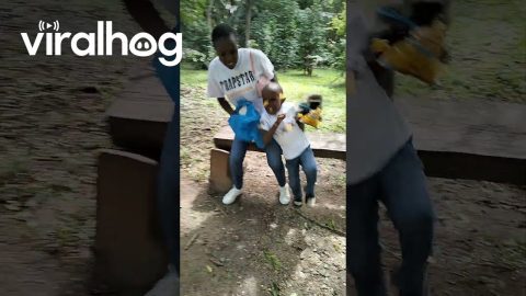 Monkey Snatches Chips From a Boy at a Park || ViralHog