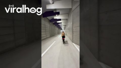 Zurich‘s New Bike Tunnel || ViralHog