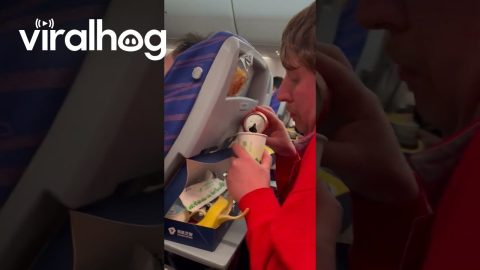 No Room on a Flight || ViralHog