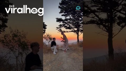 Sunset Fit Check Turned Proposal || ViralHog Shorts