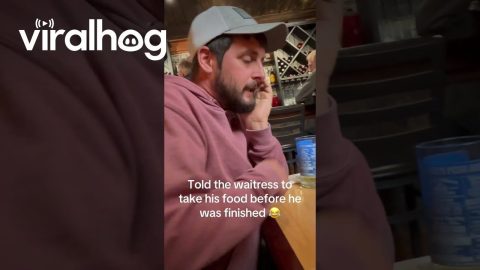 Delayed Reaction to Taken Plate of Wings || ViralHog