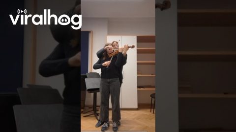 Two Musicians Perform on Single Violin || ViralHog