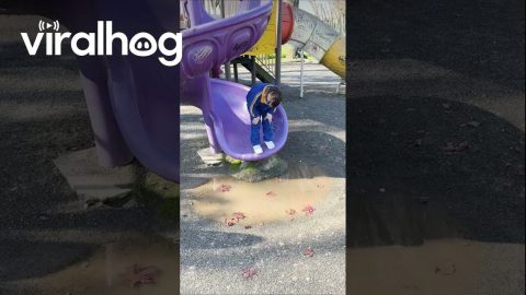 Trying to Jump Over Puddle || ViralHog