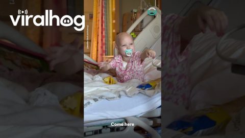 Siblings Reunite While Sister Is in the Hospital || ViralHog