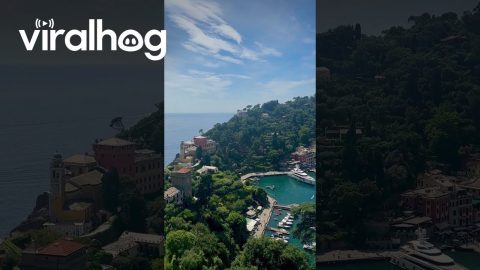 Opening a Window to Portofino || ViralHog
