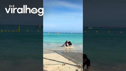 Dropped Ring While Reenacting Their Proposal || ViralHog