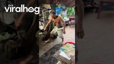 Man Rescues Puppies Caught in Rainstorm || ViralHog