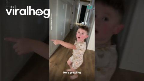 He's Growling || ViralHog