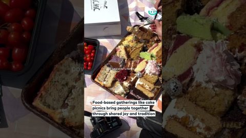 Everyone Brings Cakes to the Cake Picnic || ViralHog