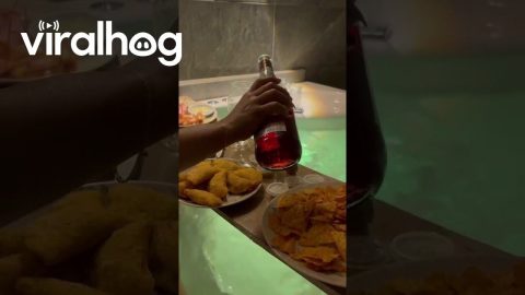 Bathtub Feast Foiled By Broken Board || ViralHog