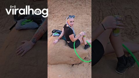 I think that Rock is in Distress || ViralHog