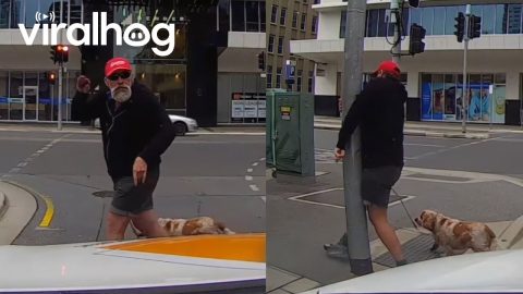 Karma is Best Served Instantly 😅 Funny Fails || ViralHog