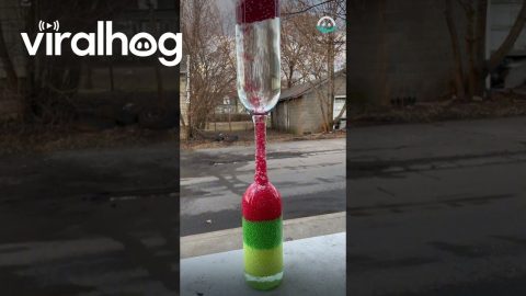 Satisfying Beads Moving Through Glass Bottles || ViralHog