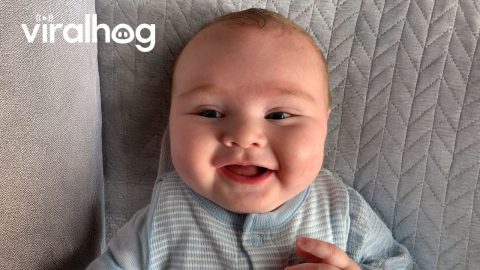 Hilarious Baby Giggles That Will Make Your Day || ViralHog