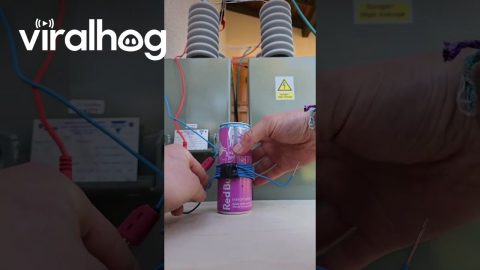 Can Crushing With 18000 Volts || ViralHog