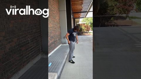 Backflip and Phone Slip || ViralHog