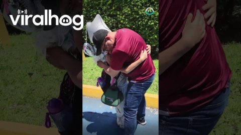 Surprised My Daughter at Her School || ViralHog