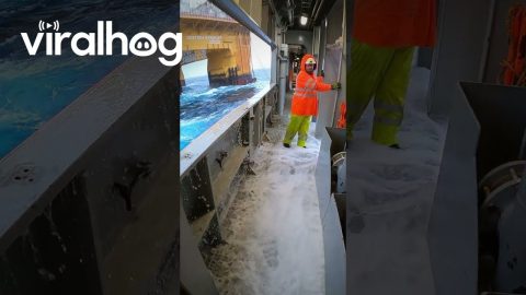 Huge Cold Waves Go Over the Side of the Boat || ViralHog