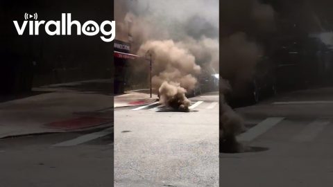 NYC Sewers Are Feeling the Heat || ViralHog