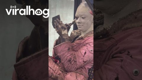 Bizarre Application Of Paint || ViralHog