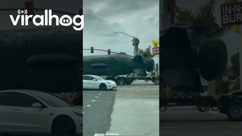 That Better Be a Movie Prop || ViralHog