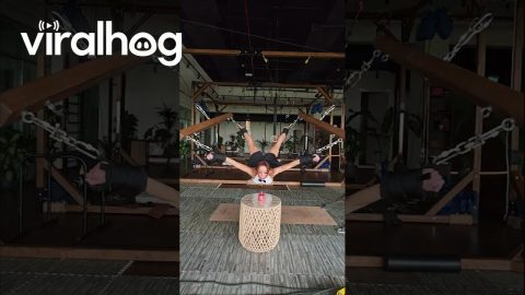 Pravilo Stretching Machine Birthday Celebration || ViralHog