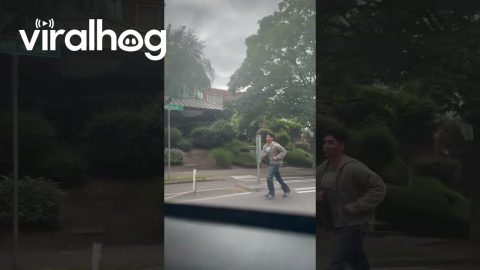 How to Beat Seattle Traffic || ViralHog