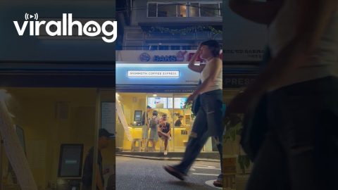 Vlogger Loses The Phone They're Filming With || ViralHog