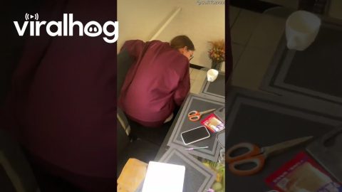 Centipede Creates Chaos In Home || ViralHog