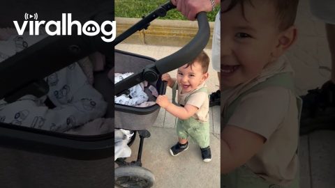Mischievous Tot Trips Brake on Baby Sister's Stroller || ViralHog