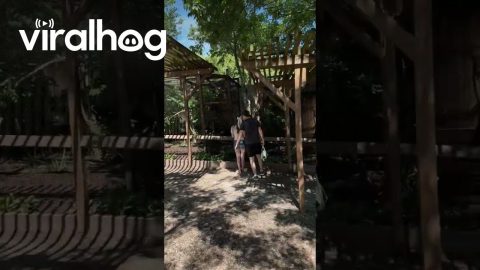 They Got Everything at This Exhibit || ViralHog