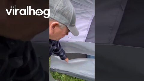 Poking Holes in a Tent || ViralHog