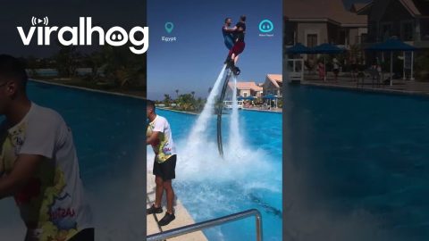 Superman Takes Lady For A Water Ride || ViralHog Shorts