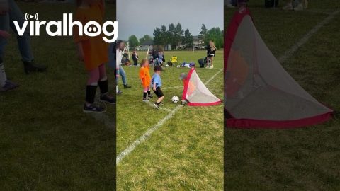 Toddler Goalie's Reaction Slightly Delayed || ViralHog