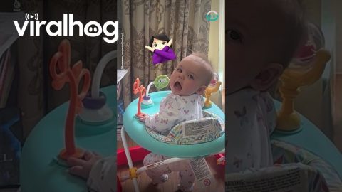 Baby Sasses Mom || ViralHog